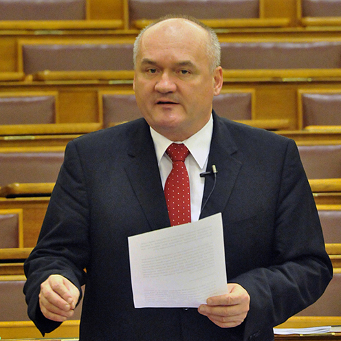Defence Minister Csaba Hende (photo: Gábor Galovtsik)