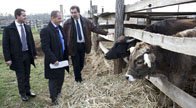 Budai Gyula: Magyarországnak GMO-mentesnek kell lennie!